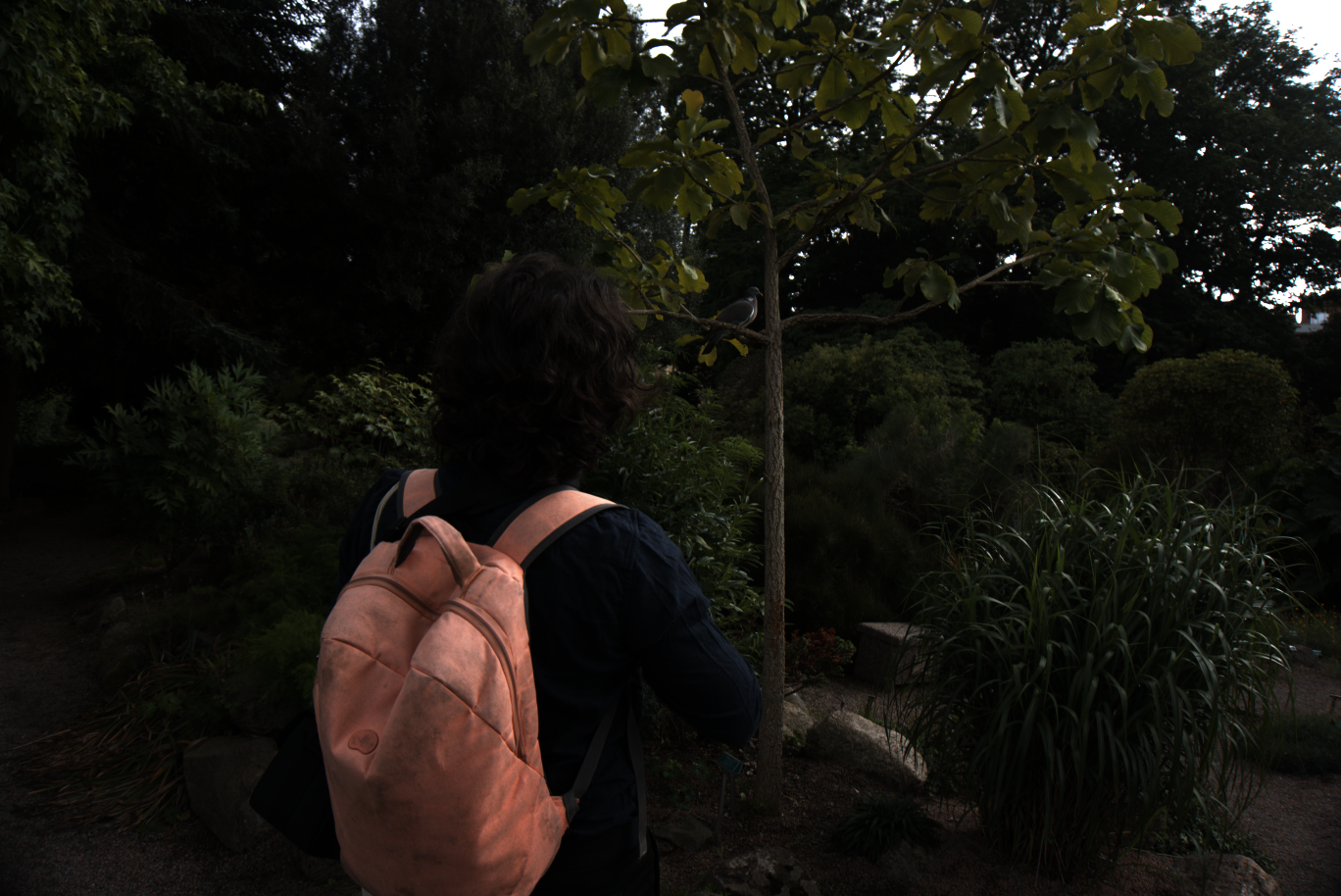 2025-08-01_170457_0000100e_ILCE-5000_6101_0-_R2.890_B1.530_lightmode_1.png