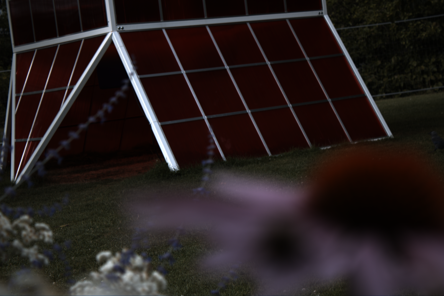 2025-08-01_170752_RL1418061_CanonEOS2000D_0_0-_R2.229_B1.692_lightmode_2.png