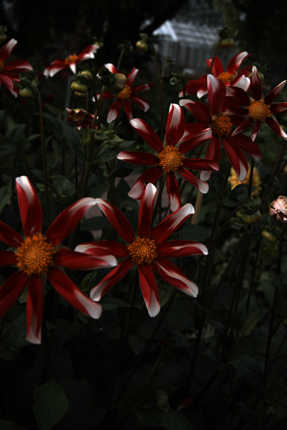 2025-08-01_170947_0000100e_ILCE-5000_6105_0-_R2.890_B1.530_lightmode_1.png