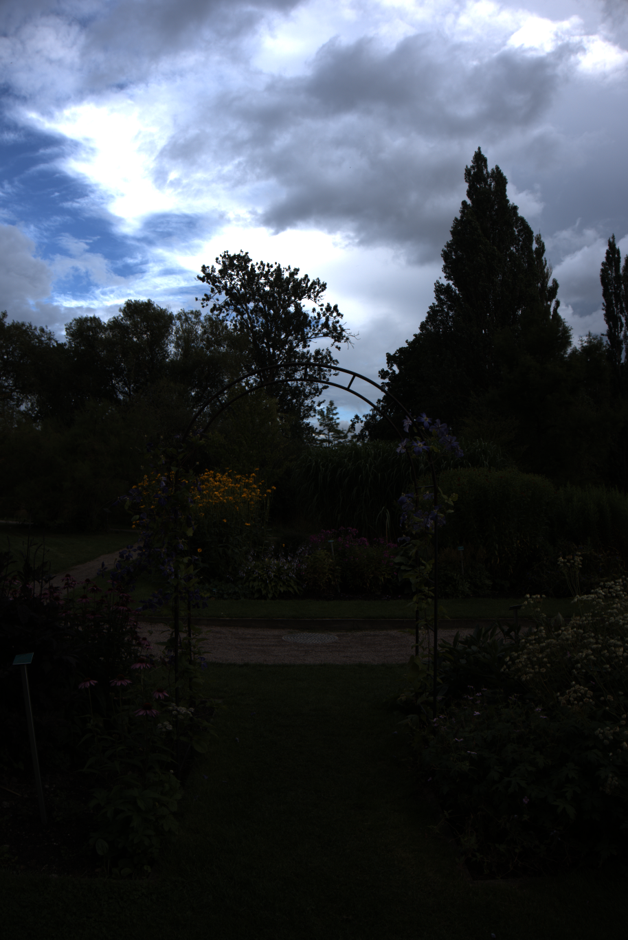 2025-08-01_171710_0000100e_ILCE-5000_6106_0-_R2.890_B1.530_lightmode_1.png
