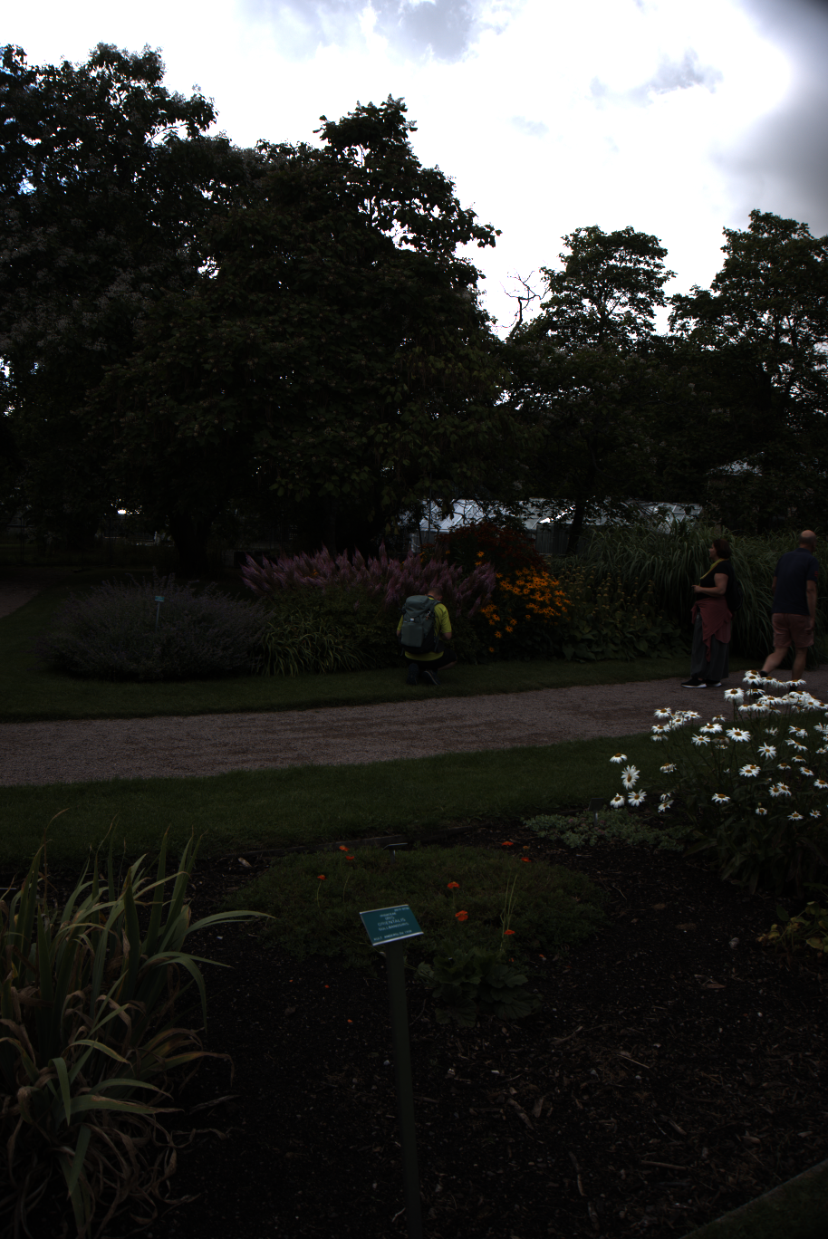 2025-08-01_172144_0000100e_ILCE-5000_6109_0-_R2.890_B1.530_lightmode_1.png
