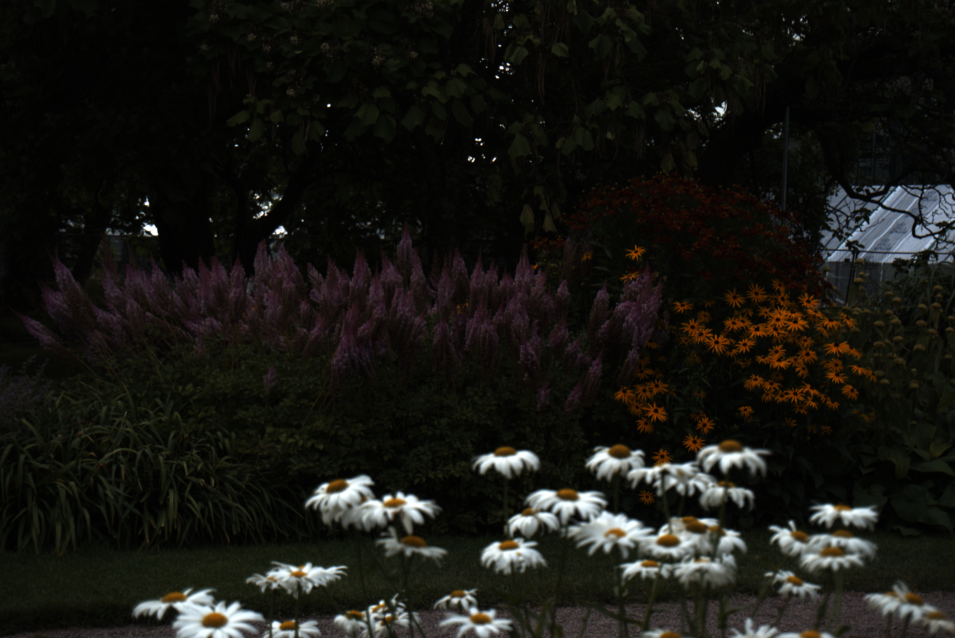 2025-08-01_172231_0000100e_ILCE-5000_6110_0-_R2.890_B1.530_lightmode.png