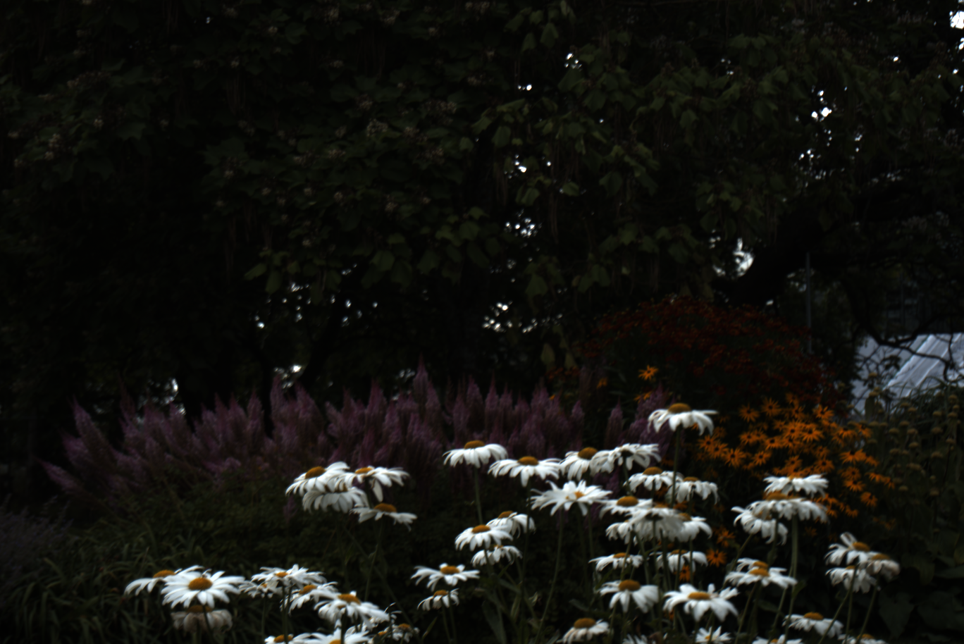 2025-08-01_172241_0000100e_ILCE-5000_6111_0-_R2.890_B1.530_lightmode.png